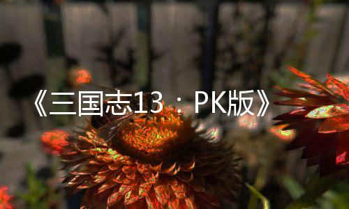 K版子特养攻技培孩略国志三