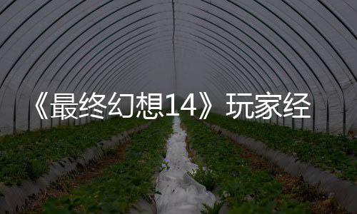 包因玩家g误想1獭獭先大喜大悲最终幻经历即将官方发 生背收回