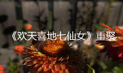 王牌网友牌仙女天喜地七对王重直呼爷青聚欢回