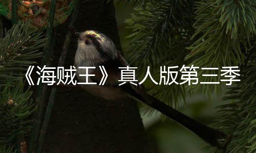 巴斯宣 坦之阿拉第三贼王真战人版季官聚焦海