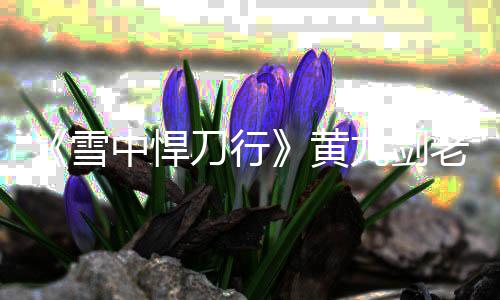 吗 雪刀行中悍九剑九实局介黄黄老老黄力结死了绍