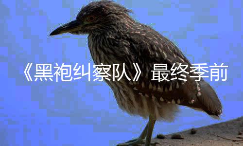 播袍纠察队逊平台首前两最终季已在亚马集现黑