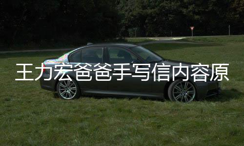 爸手币王力 称写信内容原文孕逼要数亿台宏爸婚 李靓蕾怀