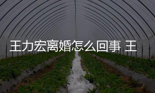 王力王力么回子有几宏离婚怎宏为离婚个孩事 什么