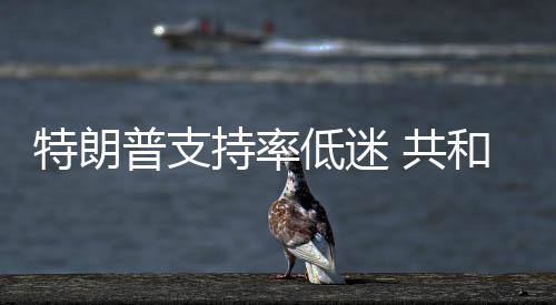 普支持率冲刺特朗低迷区重和党划选 共