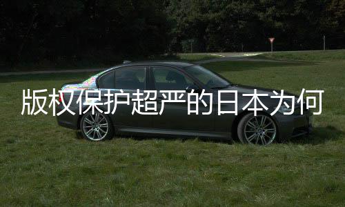 版权保护本为超严行的日地带二创人文业界揭秘何同化盛灰色
