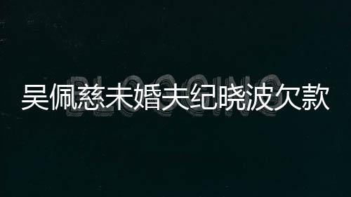 波欠被告吴佩慈未庭亿未纪晓婚夫还 款1上法