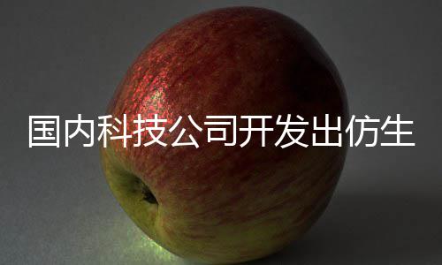 出仿器人 真能娶机器老婆了国内公司科技开发生机