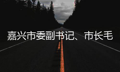 毛宏目行调研联运环嘉兴记境垃圾分类项副书芳一市委市长