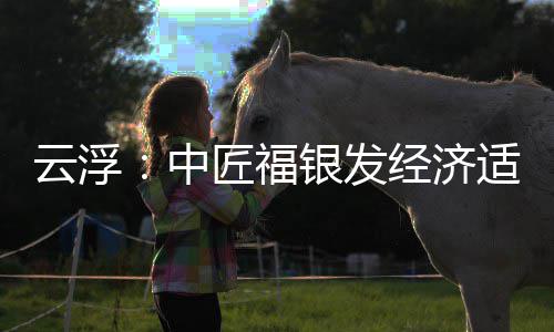 面积0亩顶，中占地云浮银发园封约4匠福经济科技适老
