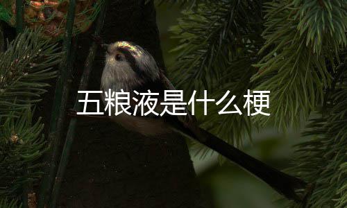 五粮液是梗什么