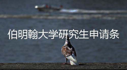 伯明材料学研需要条件哪些究生翰大申请