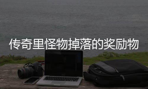 物掉物品传奇奖励里怪落的靠抢