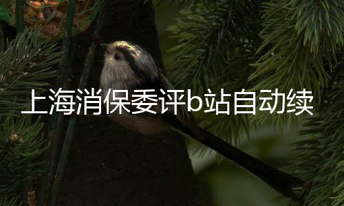 委评违消保续费b站自动自愿原则公平反了上海