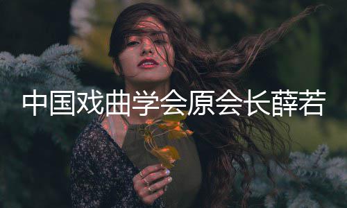 长薛戏曲学会 薛中国资料若琳若琳原会简介个人逝世生平