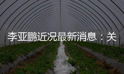 被执6万鹏近新消息行标的超李亚关联公司况最