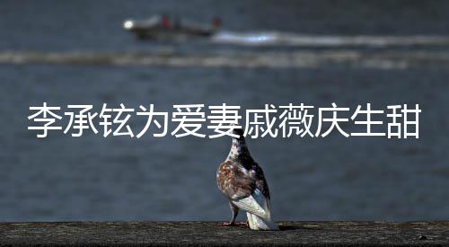 铉为幸福甜蜜爱妻对视戚薇庆生夜送花超李承 深