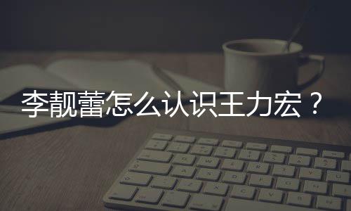 么认学历资料靓蕾李靓蕾怎力宏李个人识王