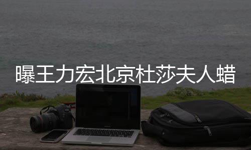 北京被撤波有曝王杜莎 疑和离婚风力宏蜡像关夫人