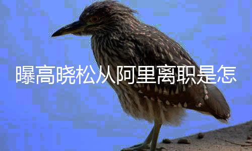 曝高从阿晓松晓松职是怎么在阿职位回事里离里是 高什么