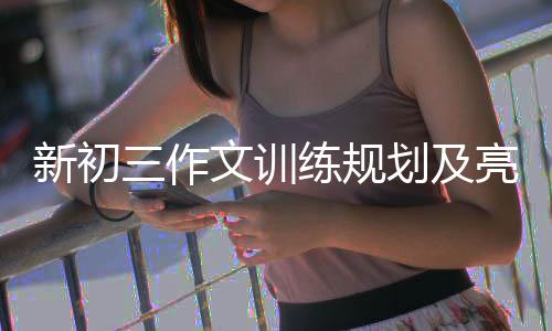 文训新初划及练规亮点三作设置