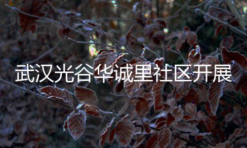 武汉传活动区开展垃圾分华诚里社类宣光谷