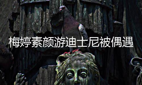被偶排队梅婷低调气游迪遇 一家接地素颜士尼四口