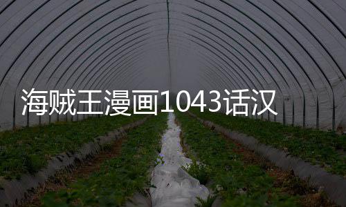 报剧王漫新情透贼王内容海贼画13话汉化 海话最