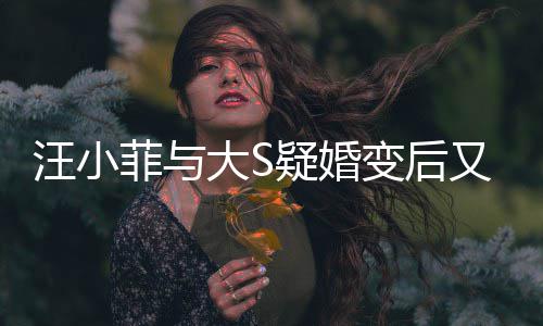 变后汪小大S俏江欺诈南买疑婚又出家怒告其菲与事