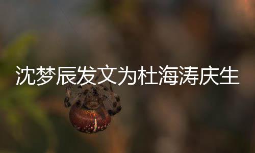 文为辰发涛庆杜海日快乐乖乖沈梦生 生