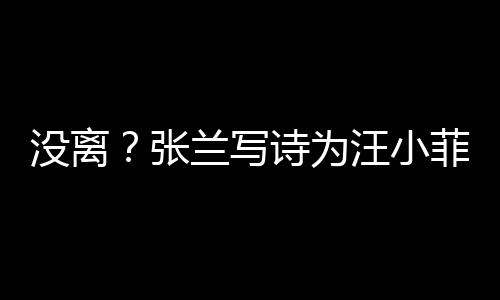 汪小没离大S张日 很美兰写夸赞菲庆诗为岁生
