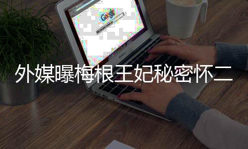 外媒曝梅密怀二胎女王与哈英见或里返根王妃秘