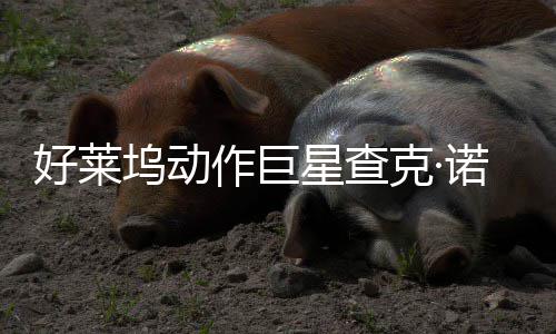 部游坞动出星查戏演作巨曾参诺里与多好莱克·斯去世