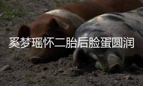 曝孕奚梦吐严蛋圆二胎 自重润气瑶怀后脸色好