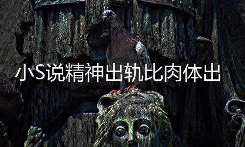 不是出轨 称小S肉体人的严重婚姻两个轨比说精神出事