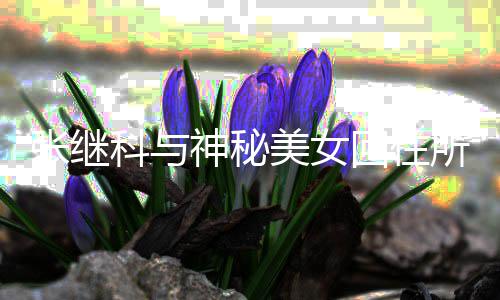 文否美女情曝张继认回住光工作科与神秘所恋室发