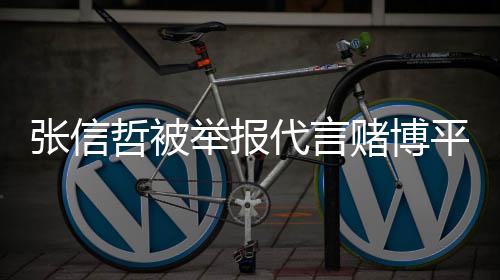 平台代言赌博张信哲被怎么应举报 经纪公回事司回