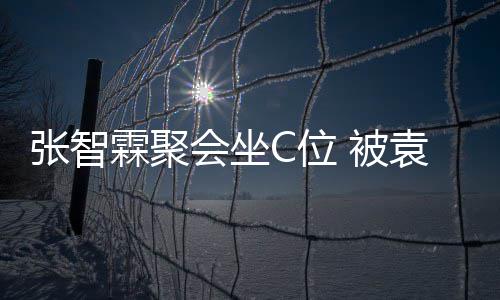 被C位等围张智子怡绕袁咏仪章会坐霖聚