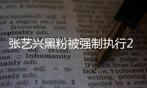 不是2万 网兴黑强制张艺执行支持之地友 互联网粉被法外