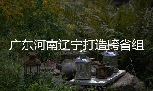 打造队组合泽涛入选 宁有望接力河南辽宁广东跨省三省