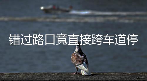 不知错过车道停车退竟直接跨机进还路口该前 司是后