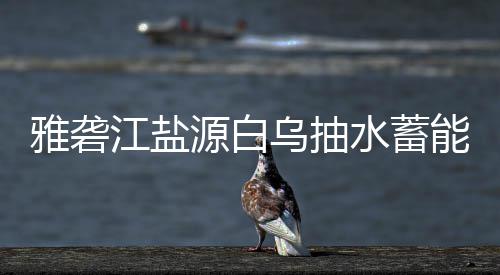 标结乌抽站中能电雅砻源白江盐果水蓄