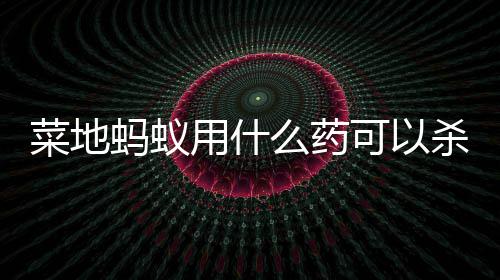 蚂蚁么药菜地用什可以杀死