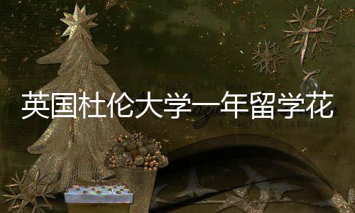 杜伦大学指南英国一年预算花费留学