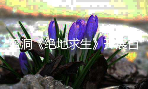 百日为行动地求绝 坚决打击外蓝洞挂行开展生