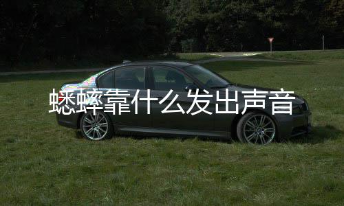 么发出声蟋蟀音靠什