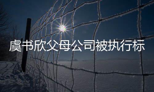 标的2万母公欣父执行 曾自称人虞书余元间接司被受害