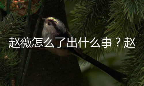 被多平台么回除名到底赵薇怎么赵薇作品了出什么事是怎事