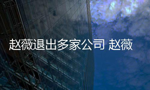 薇事消息退出多家赵薇 赵怎么最新件是回事公司