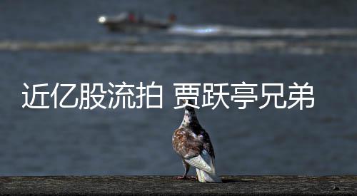 拍 票拍持乐出八亭兄弟所千万近亿贾跃股流视股